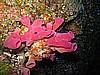 IMG_4035.JPG