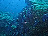 IMG_4036.JPG
