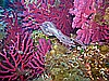 IMG_4037.JPG