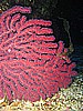 IMG_4038.JPG