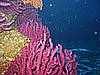 IMG_4040.JPG