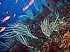 IMG_4041.JPG