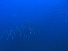 IMG_4043.JPG