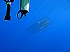 IMG_4047.JPG