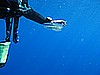 IMG_4048.JPG