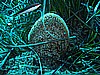 IMG_4058.JPG