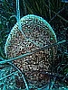 IMG_4059.JPG