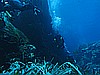 IMG_4065.JPG