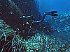 IMG_4067.JPG