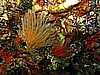 IMG_4069.JPG