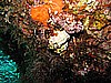 IMG_4076.JPG