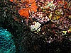 IMG_4078.JPG