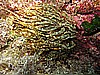 IMG_4080.JPG