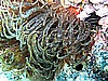 IMG_4082.JPG