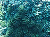 IMG_4084.JPG