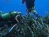IMG_4090.JPG