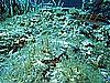 IMG_4092.JPG