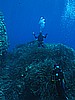 IMG_4093.JPG