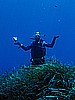 IMG_4094.JPG