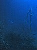 IMG_4095.JPG