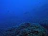 IMG_4096.JPG