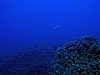 IMG_4098.JPG
