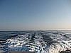 IMG_4103.JPG