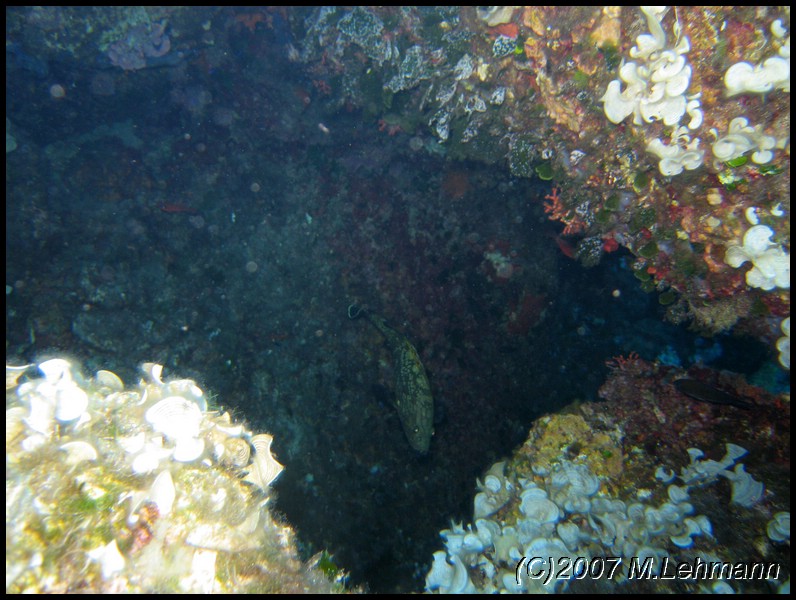 IMG_4212.JPG