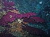 IMG_4121.JPG