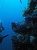 IMG_4122.JPG