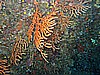 IMG_4125.JPG