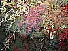 IMG_4128.JPG
