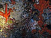 IMG_4133.JPG