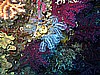 IMG_4135.JPG