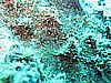 IMG_4141.JPG