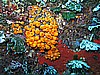 IMG_4142.JPG