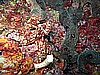 IMG_4143.JPG