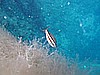 IMG_4145.JPG