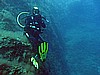 IMG_4147.JPG