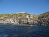 IMG_4165.JPG