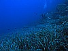 IMG_4167.JPG