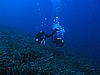 IMG_4169.JPG