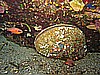 IMG_4174.JPG