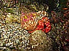 IMG_4177.JPG