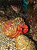 IMG_4179.JPG