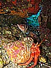 IMG_4180.JPG