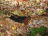 IMG_4182.JPG