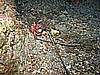IMG_4183.JPG