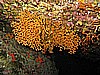 IMG_4184.JPG