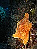 IMG_4187.JPG